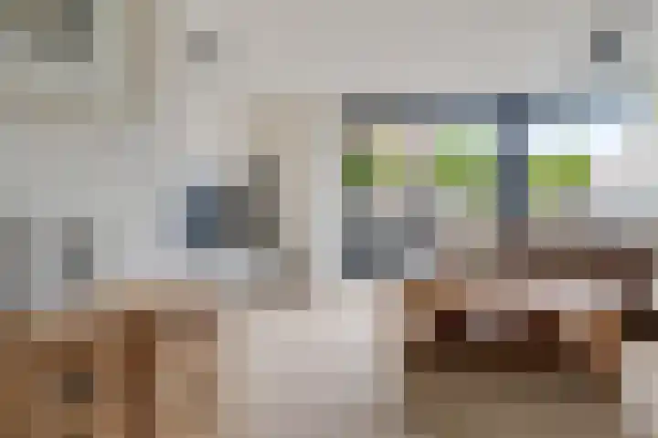 Sodalietdreef 31 Emmen thumbnail 9