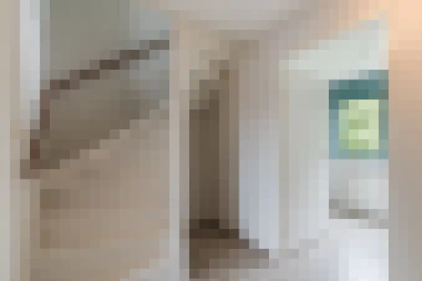 Sodalietdreef 34 Emmen thumbnail 19