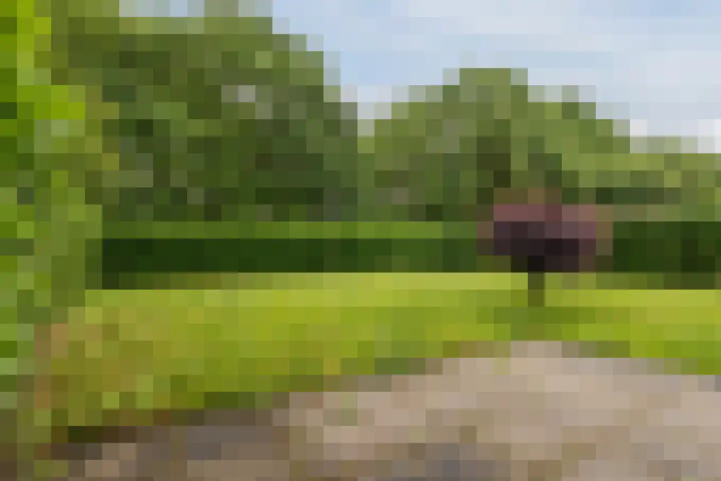 Sodalietdreef 34 Emmen thumbnail 26