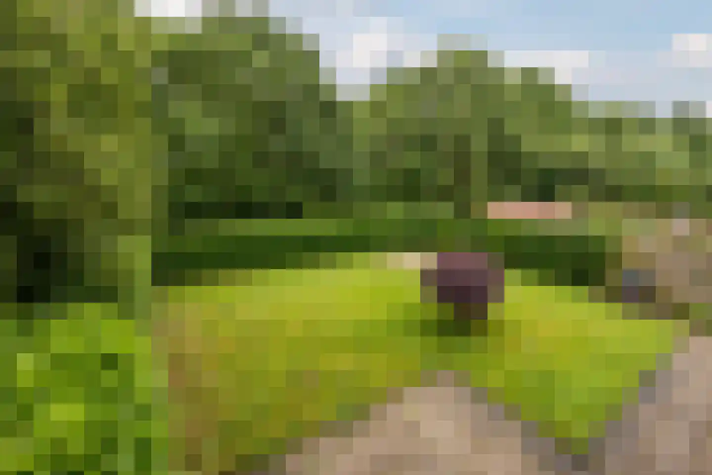Sodalietdreef 34 Emmen thumbnail 27