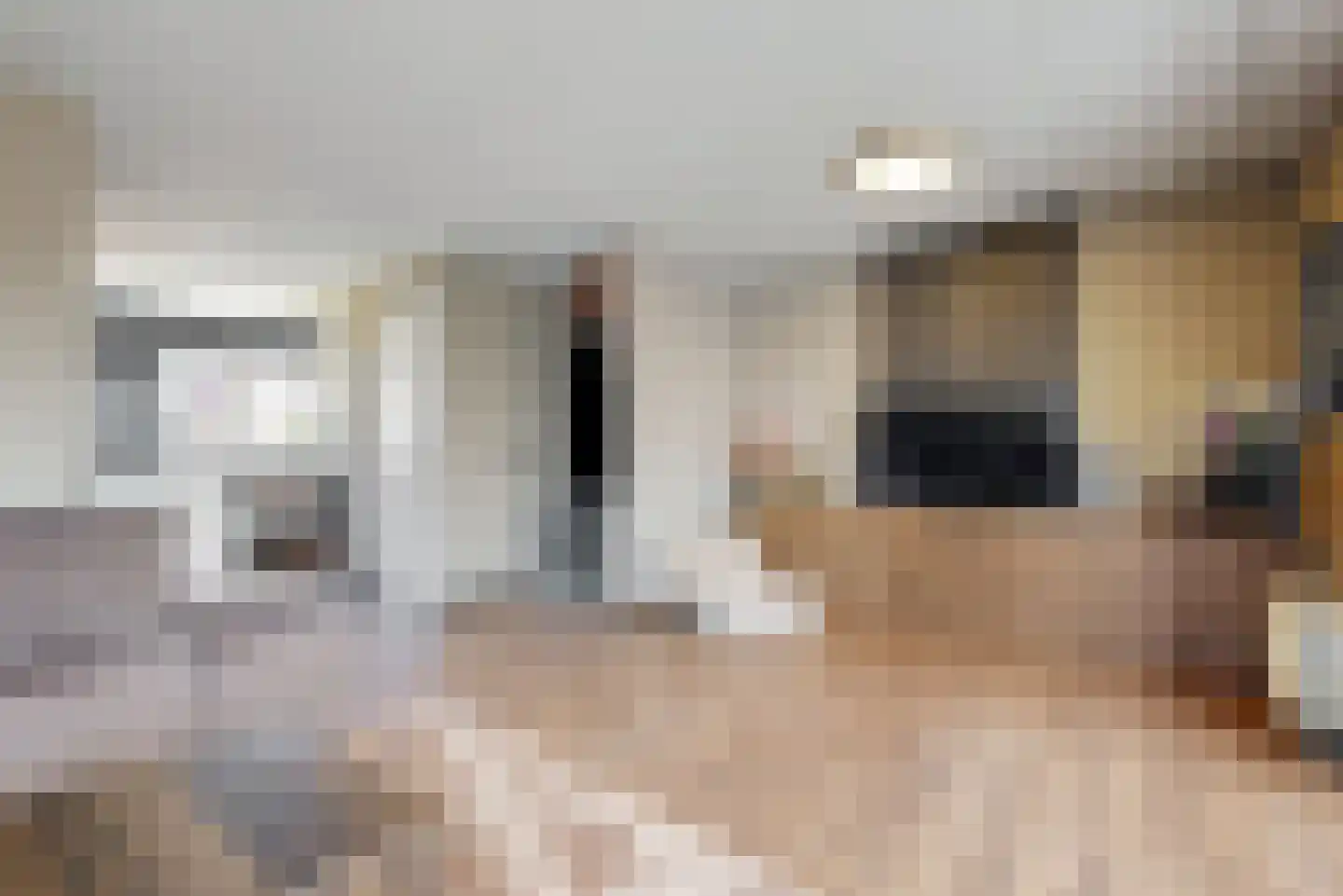 Sodalietdreef 35 Emmen thumbnail 12