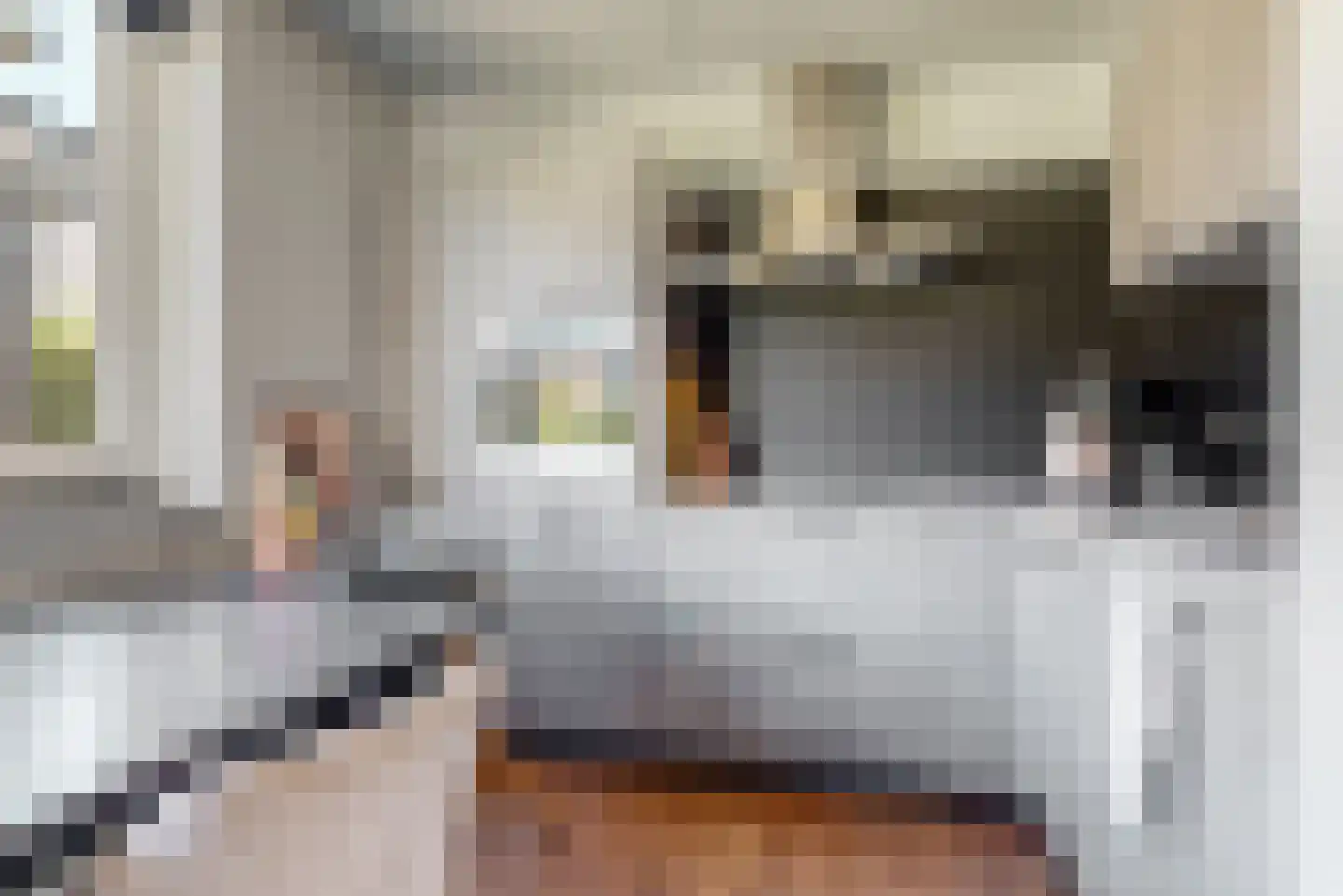 Sodalietdreef 35 Emmen thumbnail 15