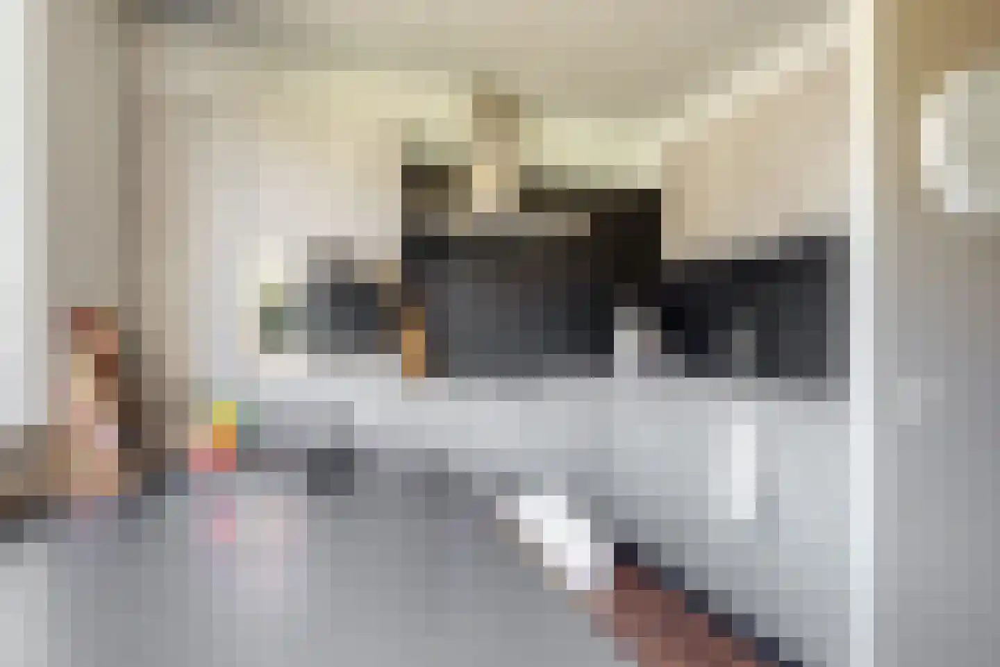 Sodalietdreef 35 Emmen thumbnail 16