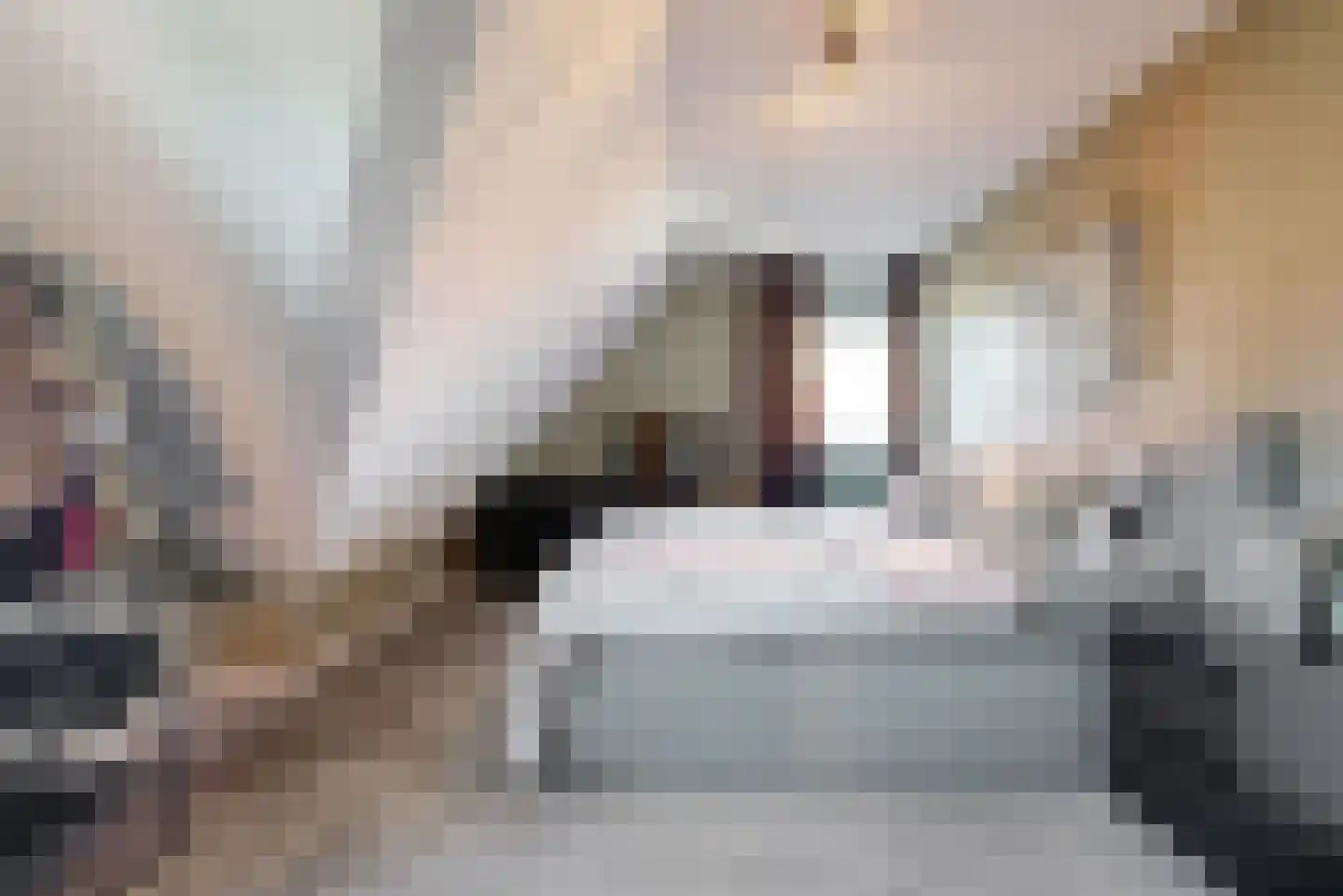 Sodalietdreef 35 Emmen thumbnail 21