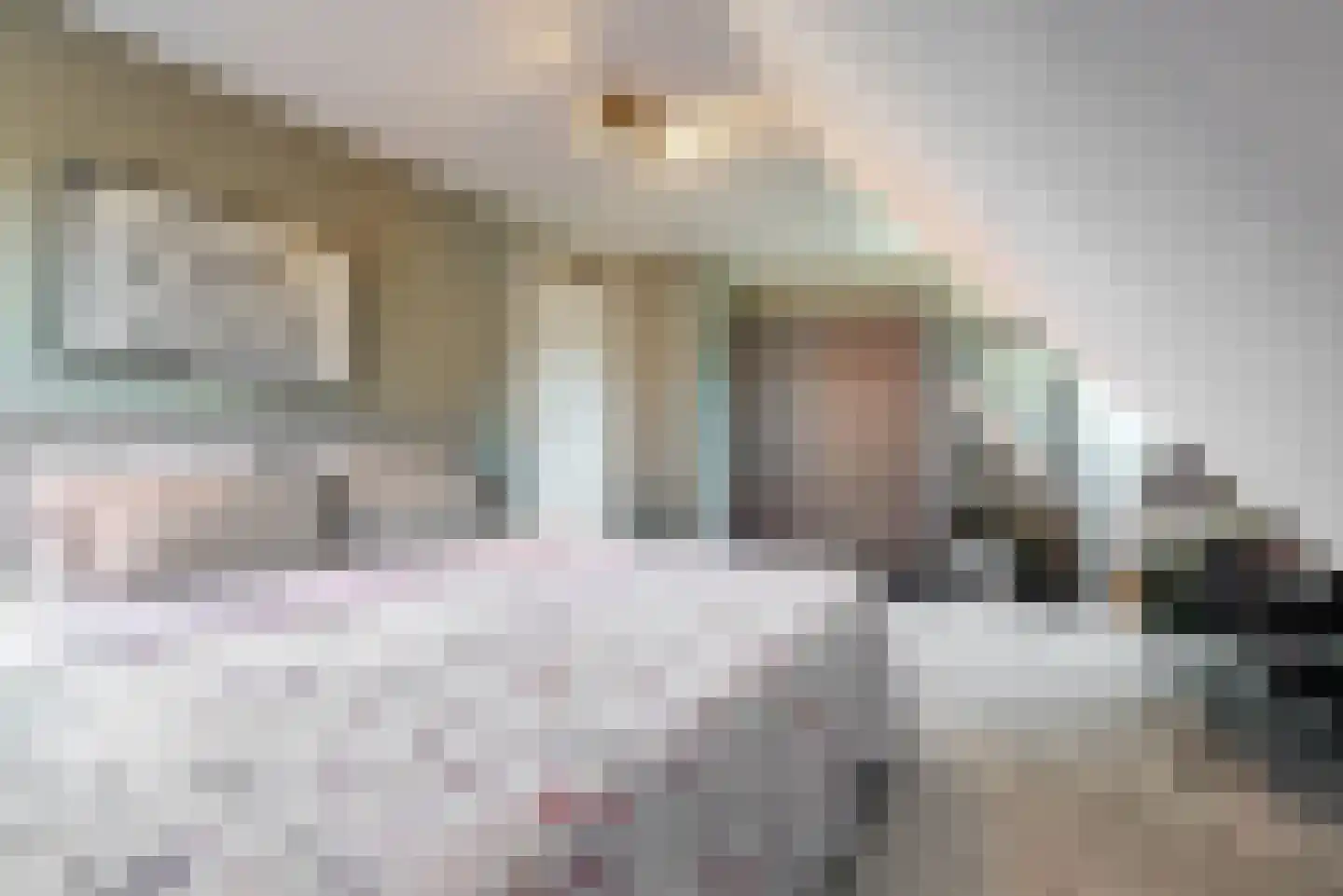 Sodalietdreef 35 Emmen thumbnail 22