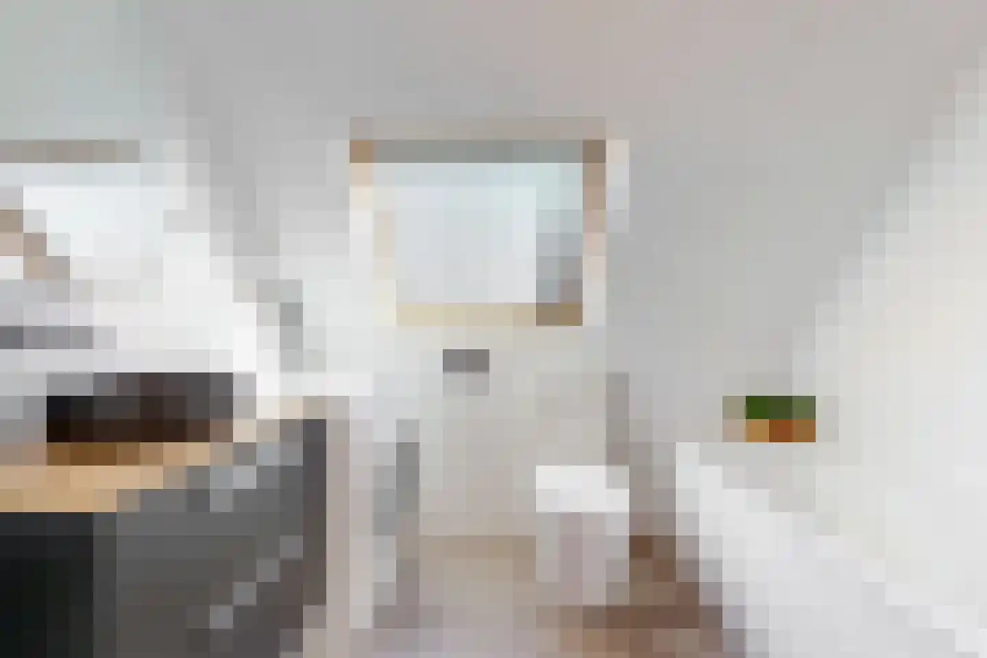 Sodalietdreef 35 Emmen thumbnail 24