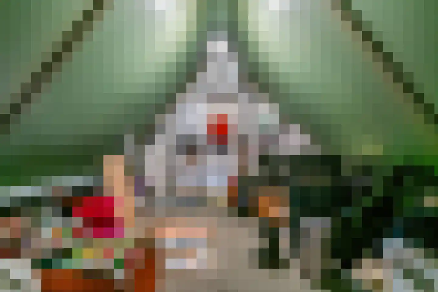 Sodalietdreef 35 Emmen thumbnail 31