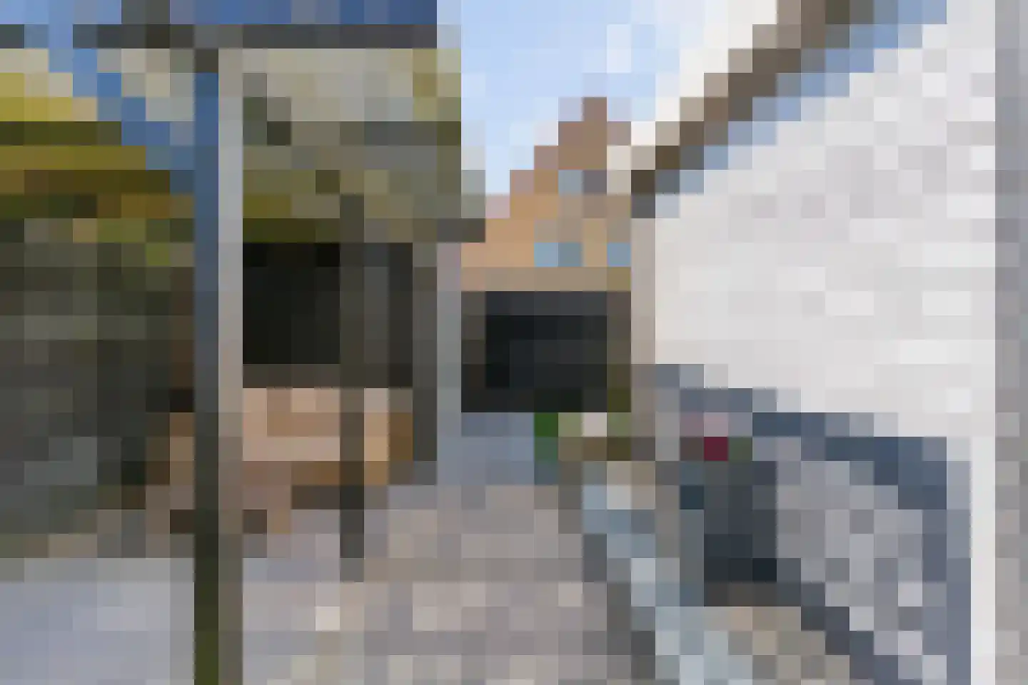 Sodalietdreef 35 Emmen thumbnail 38