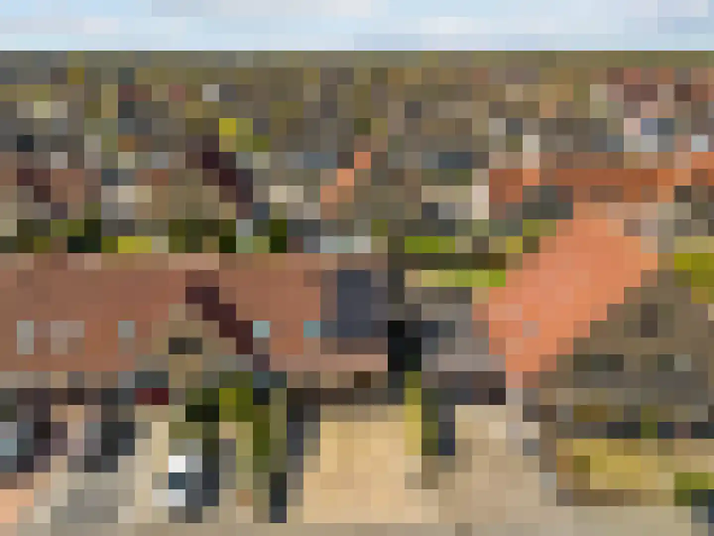 Sodalietdreef 35 Emmen thumbnail 9