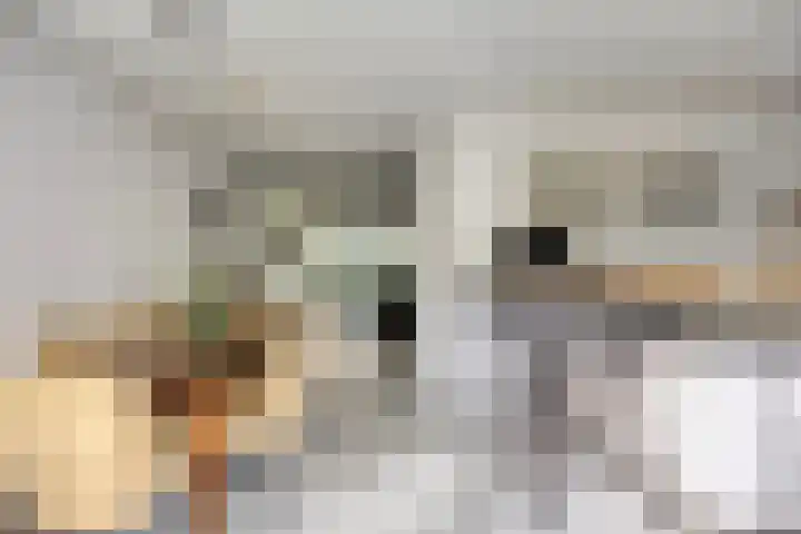 Sodalietdreef 42 Emmen thumbnail 10