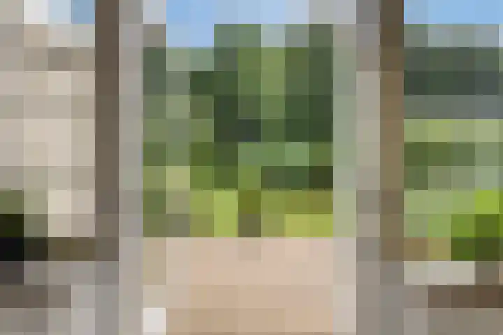 Sodalietdreef 42 Emmen thumbnail 11