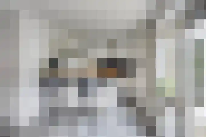 Sodalietdreef 42 Emmen thumbnail 12