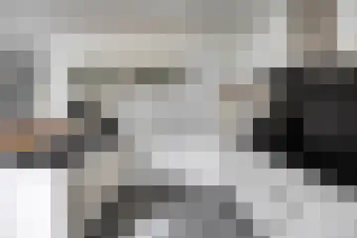 Sodalietdreef 42 Emmen thumbnail 13