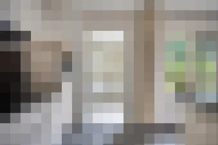Sodalietdreef 42 Emmen thumbnail 15