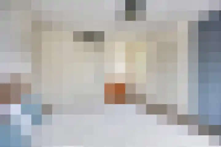Sodalietdreef 42 Emmen thumbnail 19