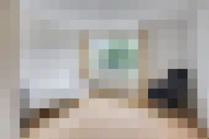 Sodalietdreef 42 Emmen thumbnail 21