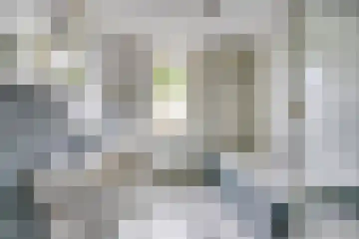 Sodalietdreef 42 Emmen thumbnail 24