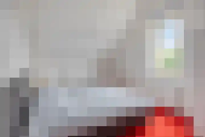 Sodalietdreef 42 Emmen thumbnail 29