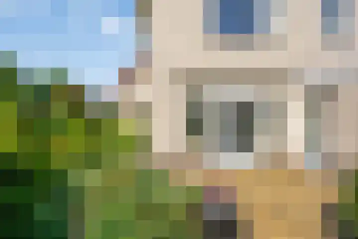 Sodalietdreef 42 Emmen thumbnail 31