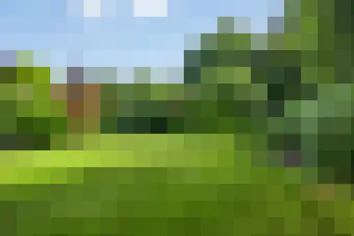 Sodalietdreef 42 Emmen thumbnail 32