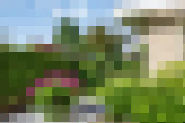Sodalietdreef 42 Emmen thumbnail 34