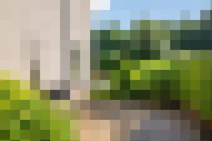 Sodalietdreef 42 Emmen thumbnail 35