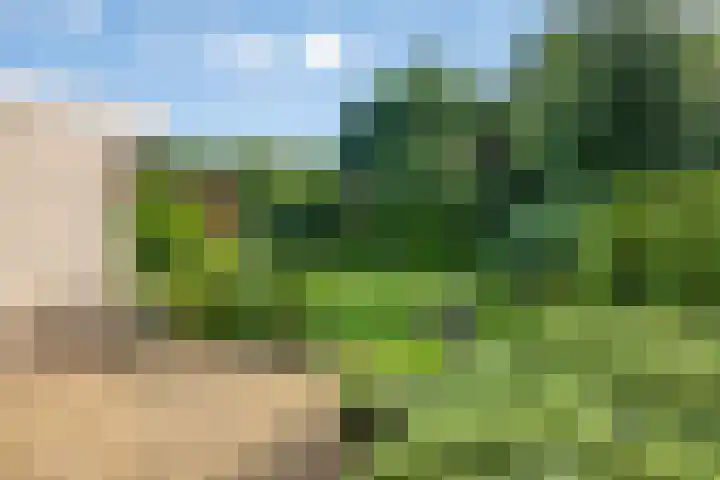 Sodalietdreef 42 Emmen thumbnail 36