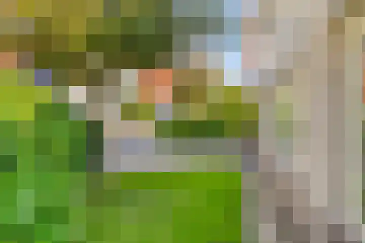 Sodalietdreef 42 Emmen thumbnail 37