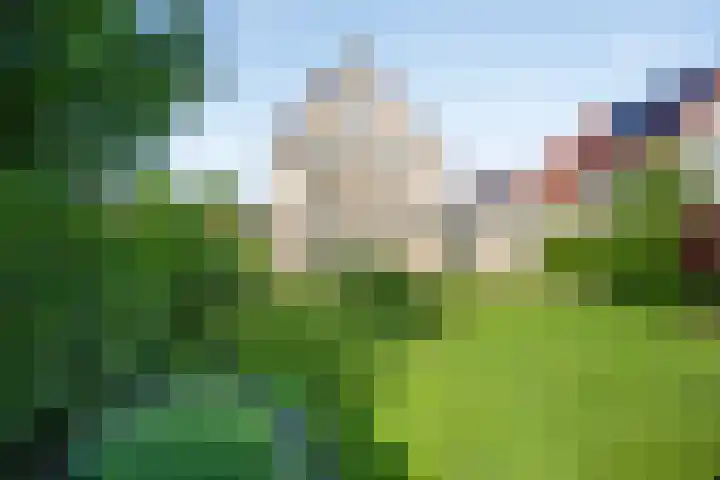 Sodalietdreef 42 Emmen thumbnail 38