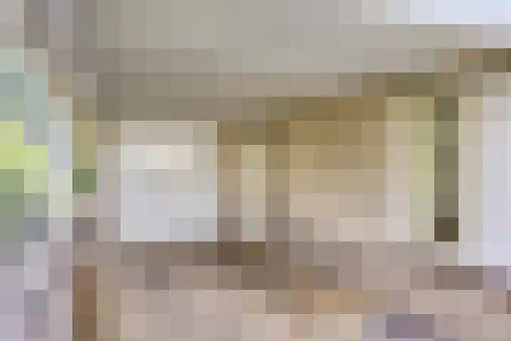 Sodalietdreef 42 Emmen thumbnail 40