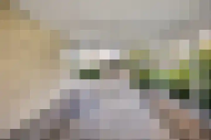 Sodalietdreef 42 Emmen thumbnail 41