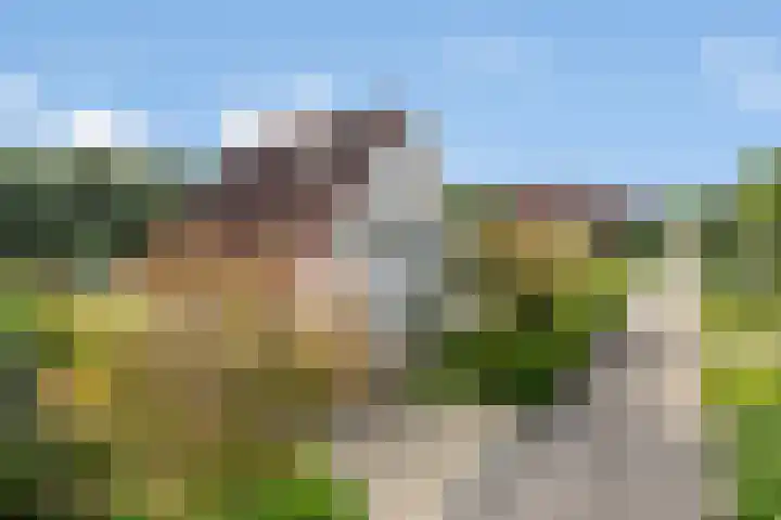 Sodalietdreef 42 Emmen thumbnail 42