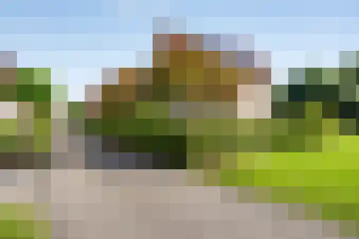 Sodalietdreef 42 Emmen thumbnail 43