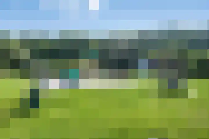 Sodalietdreef 42 Emmen thumbnail 44
