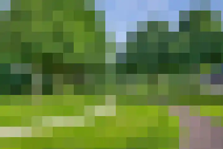Sodalietdreef 42 Emmen thumbnail 45