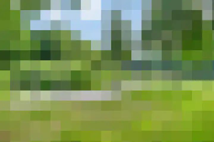 Sodalietdreef 42 Emmen thumbnail 46