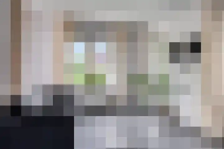 Sodalietdreef 42 Emmen thumbnail 5
