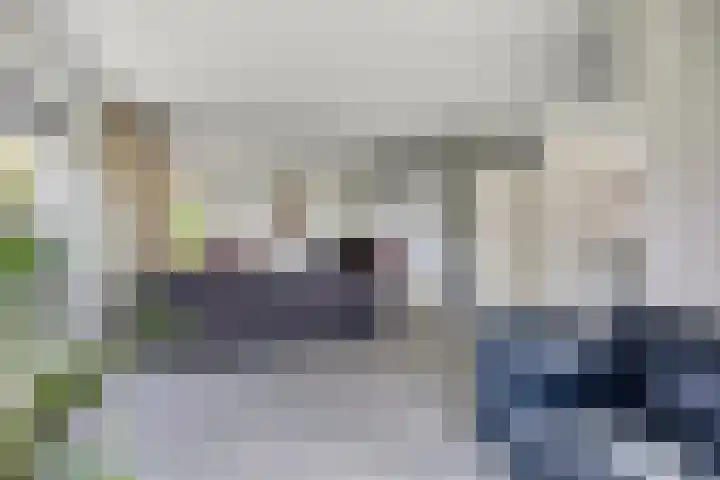Sodalietdreef 42 Emmen thumbnail 6