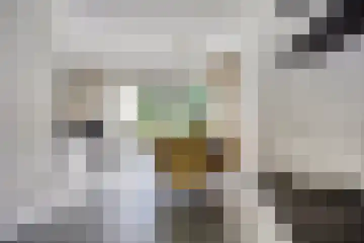 Sodalietdreef 42 Emmen thumbnail 9