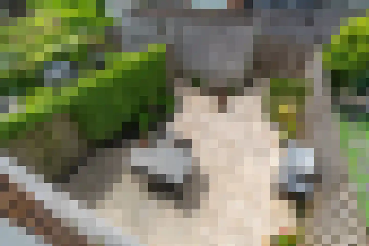 Sodawater 34 Houten thumbnail 27