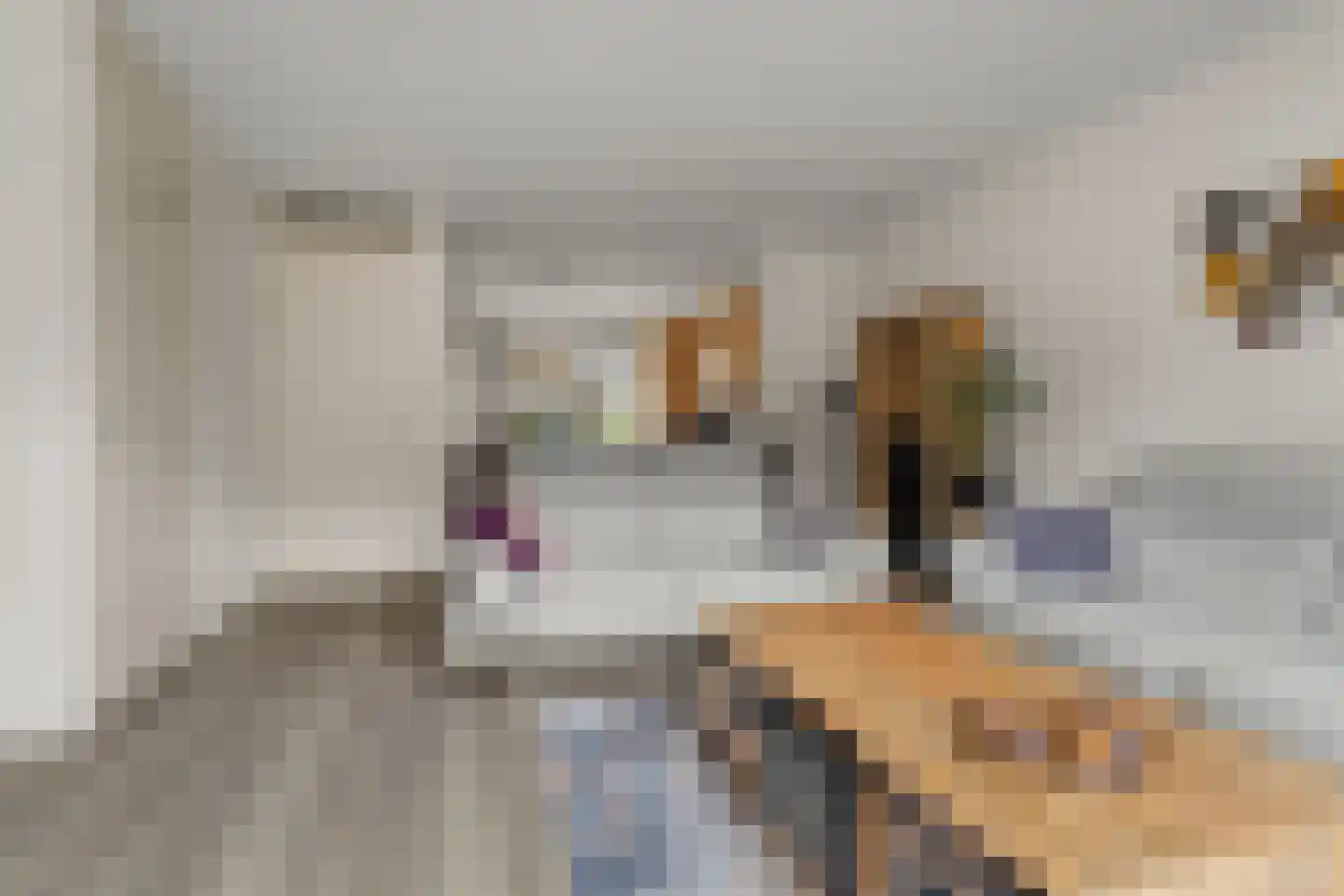Sodawater 34 Houten thumbnail 9