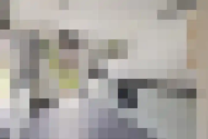 Sodawater 38 Houten thumbnail 11