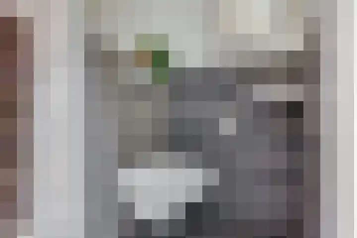 Sodawater 38 Houten thumbnail 15