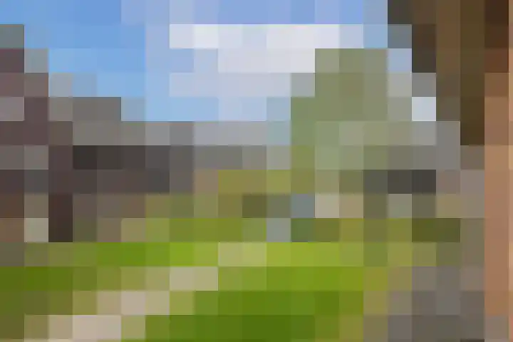 Sodawater 38 Houten thumbnail 25