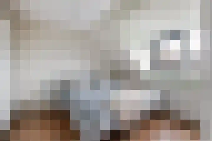 Sodawater 38 Houten thumbnail 30