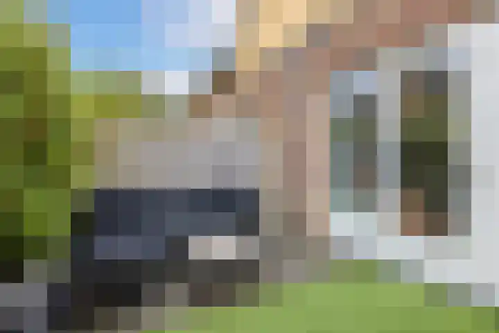 Sodawater 38 Houten thumbnail 36