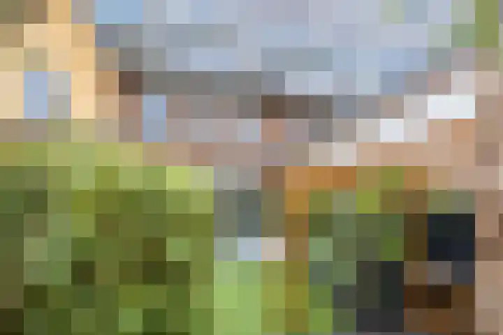Sodawater 38 Houten thumbnail 37