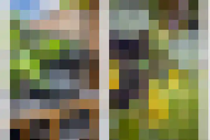 Sodawater 38 Houten thumbnail 39