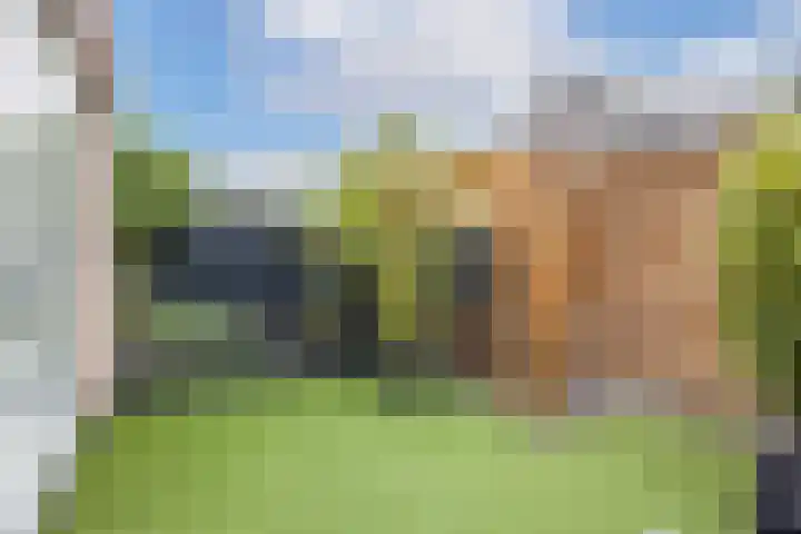 Sodawater 38 Houten thumbnail 40