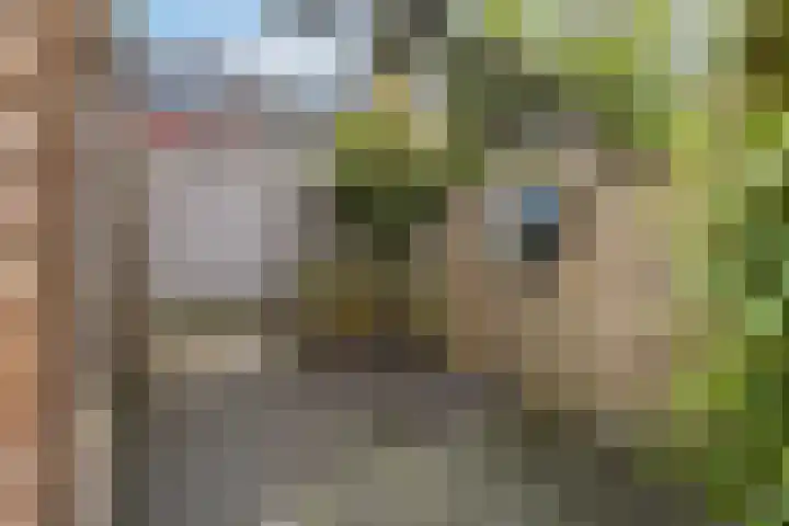 Sodawater 38 Houten thumbnail 42